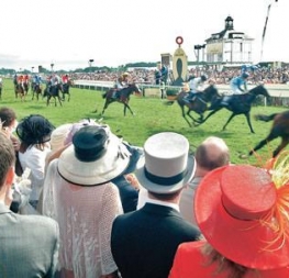 A crueldade escondida pelo glamour das corridas de cavalos