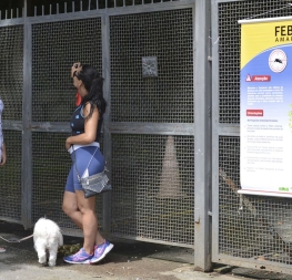 São Paulo volta a registrar mortes por febre amarela após dois anos sem casos