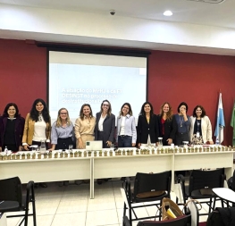 Barra do Piraí - MPRJ apresenta avanços no processo de desinstitucionalização de pessoas com deficiência 